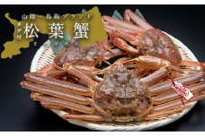 【活き】タグ付き松葉ガニ　大　1枚(800～940g前後)