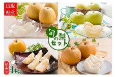 【訳あり】鳥取県産旬の梨セット 4kg