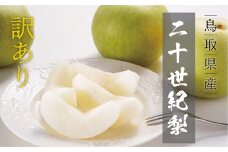 【訳あり】二十世紀梨 4kg