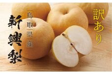 【訳あり】新興梨 4kg