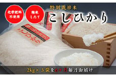 【令和7年産 新米】“土づくりの恵み” つやっつやの特別栽培米お届け  6ヶ月コース【令和7年10月以降発送】