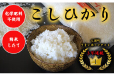 【令和7年産 新米】特別栽培米コシヒカリ10kg【令和7年10月以降発送】