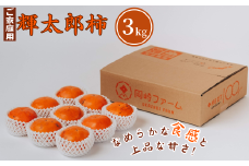 輝太郎柿 3kg(ご家庭用)
