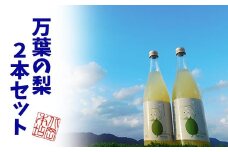 鳥取県産梨リキュール「万葉の宴」2本セット