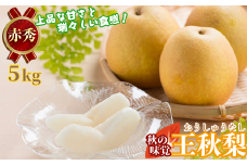 【2025年発送分】王秋梨(赤秀) 5kg