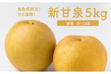 【数量限定】新甘泉 5kg 8玉～14玉 赤秀 JA鳥取いなば 8月下旬から順次発送【もぎたて 旬 フルーツ 果物 オリジナルブランド 新品種 赤梨 梨 シャキシャキ 新甘泉】 ＜Y024＞