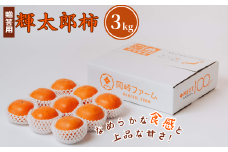 輝太郎柿 3kg(贈答用)