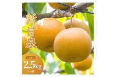 新甘泉(秀) 2.5kg