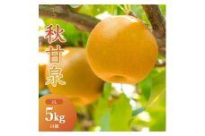 秋甘泉(秀) 5kg（3Lサイズ）
