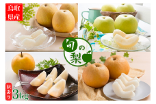 【訳あり】鳥取県産旬の梨 3kg