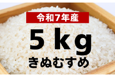 【令和7年産 新米】きぬむすめ5kg【令和7年10月以降発送】