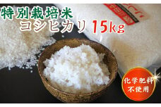 【令和7年産 新米】特別栽培米コシヒカリ15kg【令和7年10月以降発送】