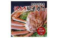 【活生】 訳あり 松葉ガニ 350～440g級