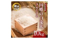 因幡の白兎米 きぬむすめ 令和7年度産 精米済 10kg（5kg×2袋）