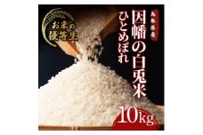 因幡の白兎米 ひとめぼれ 令和7年度産 精米済 10kg（5kg×2袋）