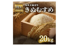 鳥取県産 きぬむすめ 令和7年度産 精米済 20kg（5kg×4袋）
