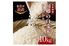 因幡の白兎米 コシヒカリ 令和7年度産 精米済 10kg（5kg×2袋）