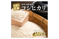 鳥取県産 コシヒカリ 令和7年度産 精米済 10kg（5kg×2袋）