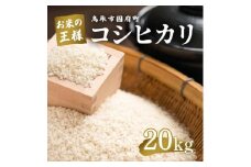 鳥取県産 コシヒカリ 令和7年度産 精米済 20kg（5kg×4袋）