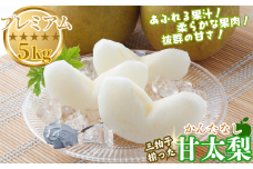 プレミアム甘太梨 5kg