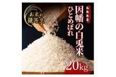 因幡の白兎米 ひとめぼれ 令和7年度産 精米済 20kg（5kg×4袋）