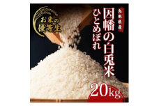 因幡の白兎米 ひとめぼれ 令和7年度産 精米済 20kg（5kg×4袋）