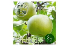 二十世紀梨(秀) 3L 3kg