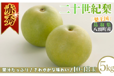 二十世紀梨(赤秀) 5kg「Y's Farm Tottori」【梨 なし ナシ 果物 フルーツ ギフト 先行予約 甘い 果実 果汁 デザート もぎたて 旬】