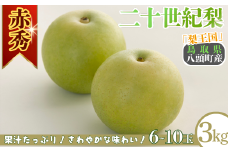二十世紀梨(赤秀) 3kg「Y's Farm Tottori」【梨 なし ナシ 果物 フルーツ ギフト 先行予約 甘い 果実 果汁 デザート もぎたて 旬】