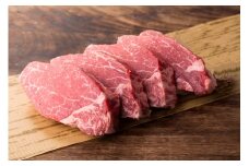 【4か月定期便】鳥取和牛ヒレステーキ4枚（400g）