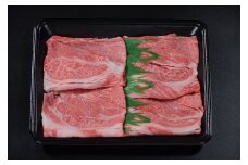 【12か月定期便】鳥取和牛肩ロースすき焼きしゃぶしゃぶ用500g