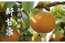 【訳あり】新甘泉 3kg