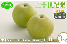 二十世紀梨(家庭用) 3kg「Y's Farm Tottori」【梨 なし ナシ 果物 フルーツ ギフト 先行予約 甘い 果実 果汁 デザート もぎたて 旬】