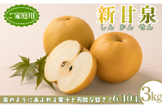 新甘泉(家庭用) 5kg「Y's Farm Tottori」【梨 なし ナシ 果物 フルーツ ギフト 先行予約 甘い 果実 果汁 デザート もぎたて 旬】