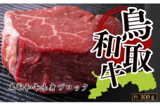 鳥取和牛赤身ブロック 約300g