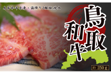 鳥取和牛赤身＆霜降り 焼肉用 約250g