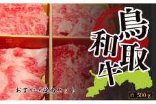鳥取和牛 おまかせ焼肉セット 約500g