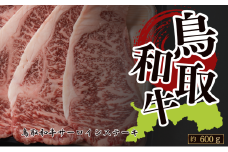 鳥取和牛サーロイン ステーキ用 約600g(約200g×3枚)