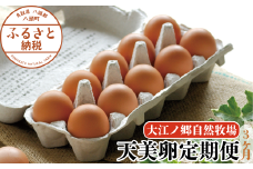 【3か月定期便】平飼い天美卵30個〈大江ノ郷自然牧場より直送〉
