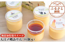 大江ノ郷ぷりん（6個入）【無添加牧場スイーツ】