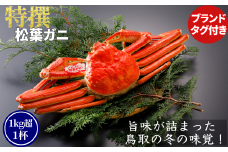 【ボイル】特撰 松葉がに（タグ付き）600g超の大きいサイズ 食べ応えあり　1杯