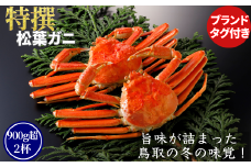 【ボイル】特撰 松葉がに（タグ付き）800g超の大きいサイズ　特大1杯