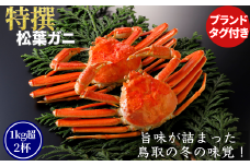 【ボイル】特撰 松葉がに（タグ付き）800g超の大きいサイズ　特大2杯