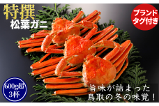 【ボイル】特撰 松葉がに（タグ付き）900g超の大きいサイズ　特大2杯