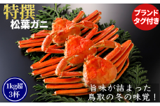 【ボイル】特撰 松葉がに（タグ付き）1kg超の大きいサイズ　特大3杯