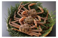【活物】訳あり 松葉がに 600g超の大きいサイズ 食べ応えあり　3杯