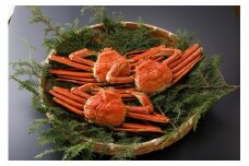 【ボイル】訳あり 松葉がに 600g超の大きいサイズ 食べ応えあり　3杯