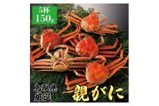 【ボイル】親ガニ(セコガニ) 150g　5杯