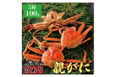 【ボイル】訳あり親ガニ(セコガニ) 100g　5杯
