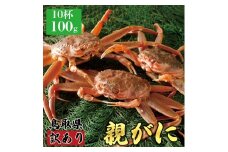 【活物】訳あり親ガニ(セコガニ) 100g　10杯